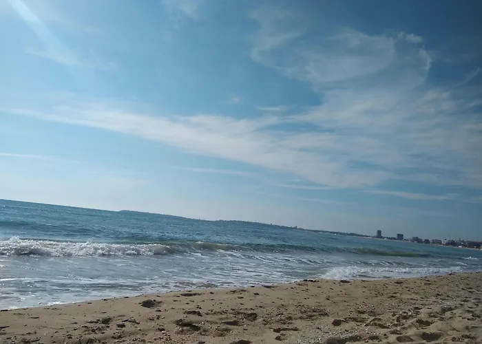 Tania's Apartamento *